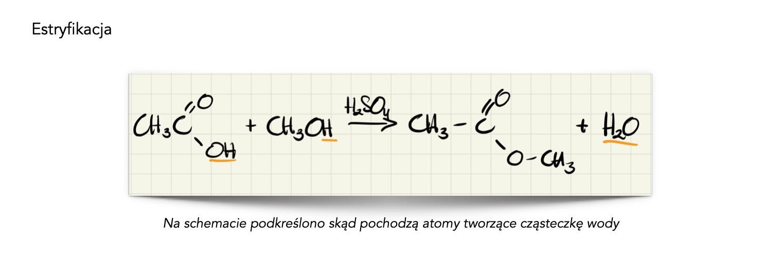 Notatki z chemii na medycynę - 283 strony.