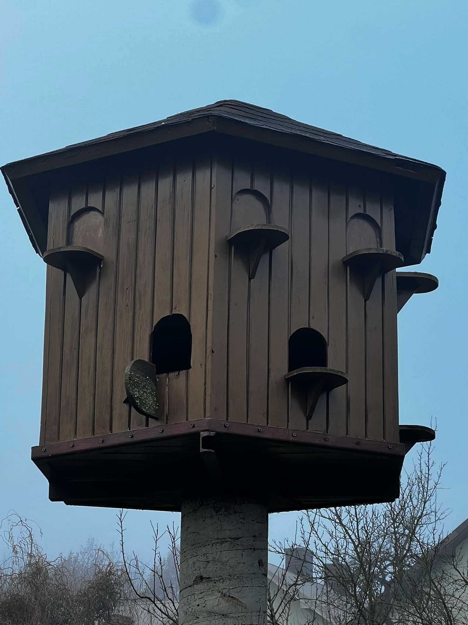 gołębnik na slupie