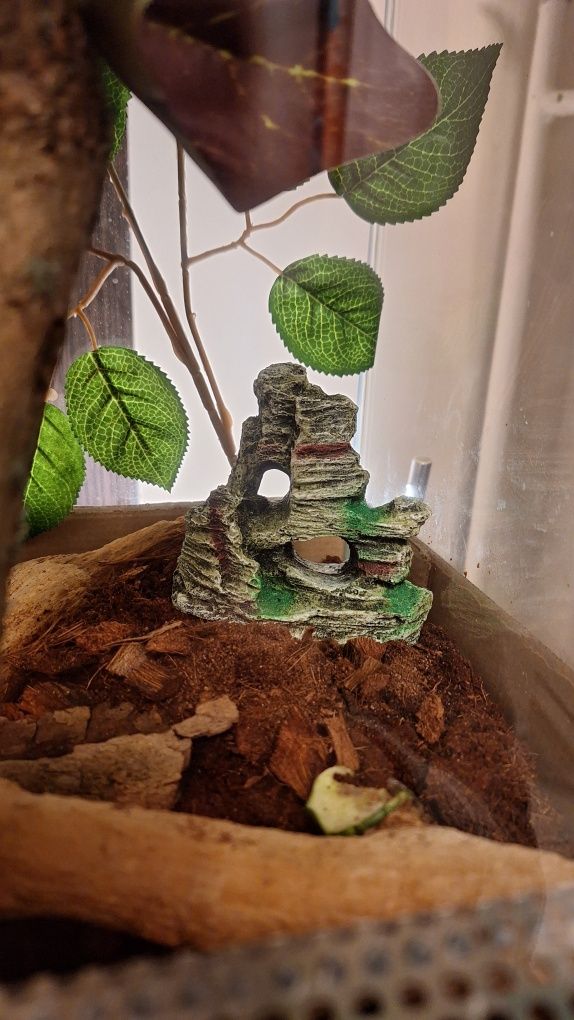 Dekoracje do terrarium/akwarium.