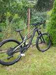 Canyon Spectral al 6.0