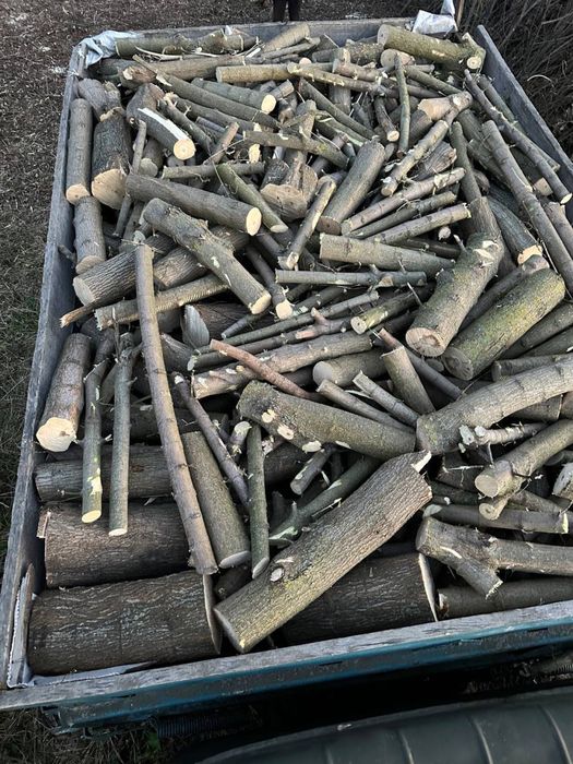 Дрова кругляки / дерево пиляне або рубане . Дрова чурки клен верба