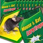 10x LEP PUŁAPKA NA MYSZY szczury mega silny klej myszołapka aromat