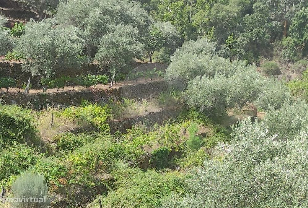 Terreno  para venda