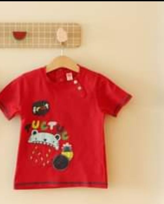 Lote de 9 tshirts 18/24 meses
