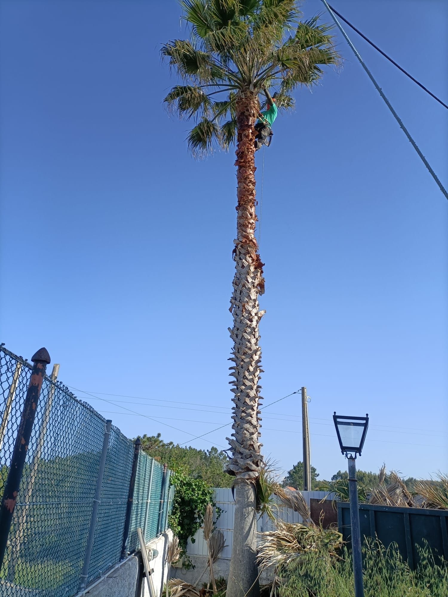 Serviços de Jardinagem/Limpeza de Terrenos