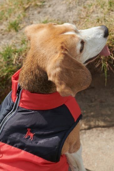Куртка / Пуховик NEXT на флисе для собаки !