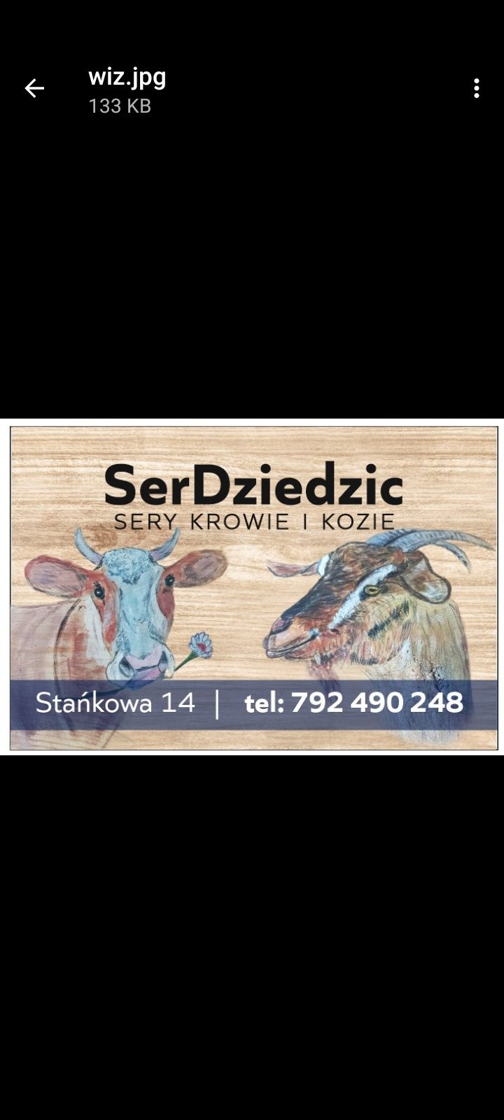 Sery kozie i krowie