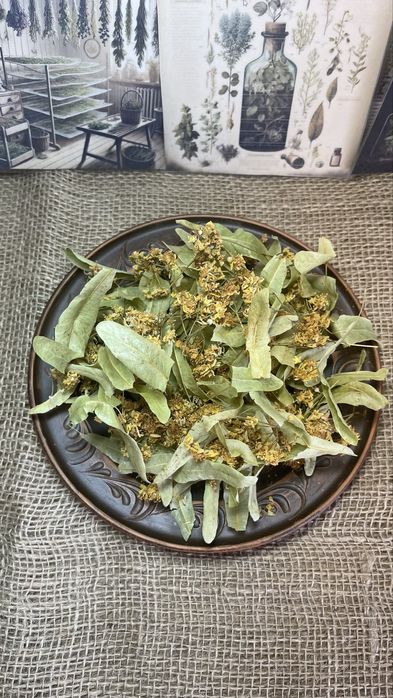 Липа сушена, суцвіття липи сушене, лікарські трави