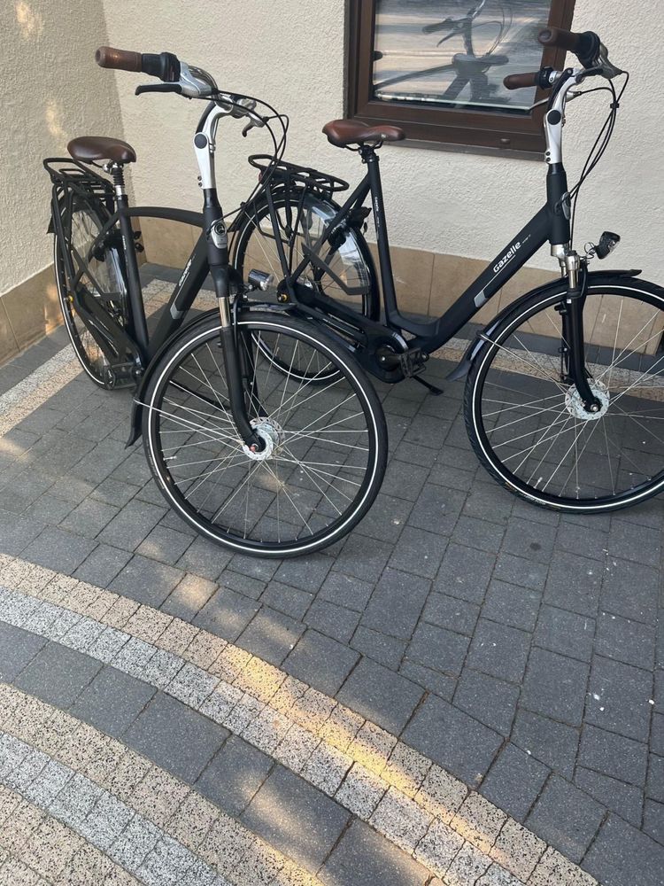 Gazelle Orange C7+