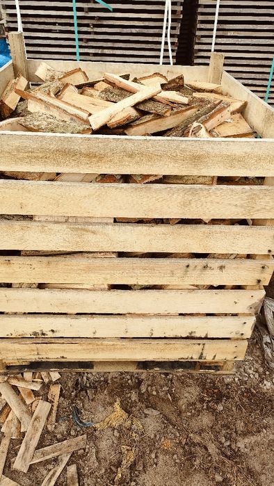 Zrzyny dębowe cięte suche