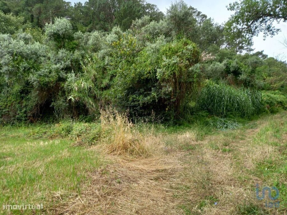 Terreno em Santo Isidoro de 4000,00 m2