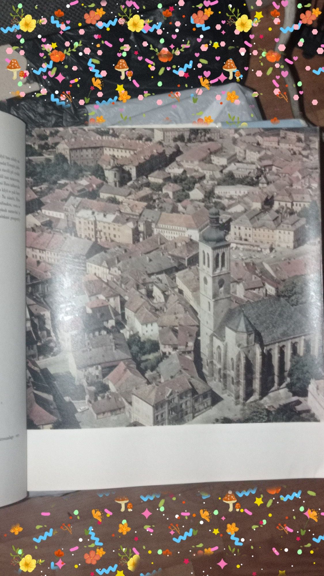 Вацлав Менцл, Города,замки и замки 1970год.