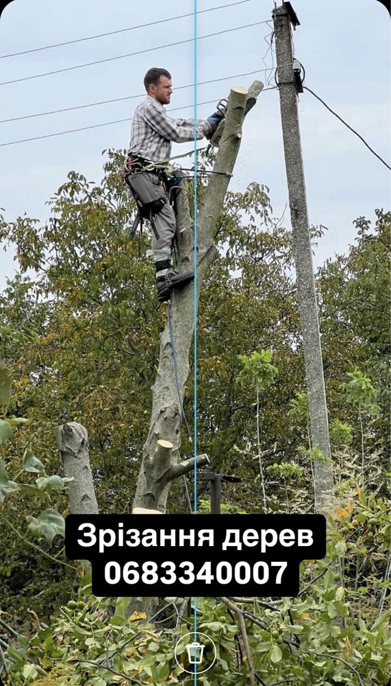 Зрізання дерев, обрізка валка дерев, спилювання, чистка
