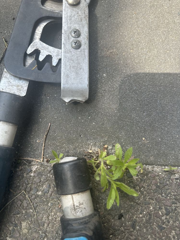 Uszkodzone nozyce i sekator cellfast
