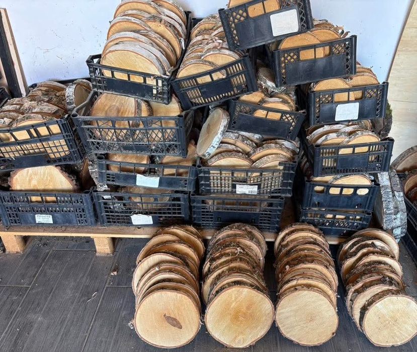 Plastry brzozy 16-23 cm średnica