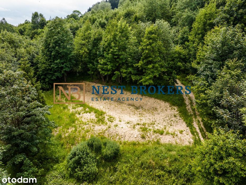 Zawoja - Siedlisko, działka w otoczeniu zieleni z własnym lasem