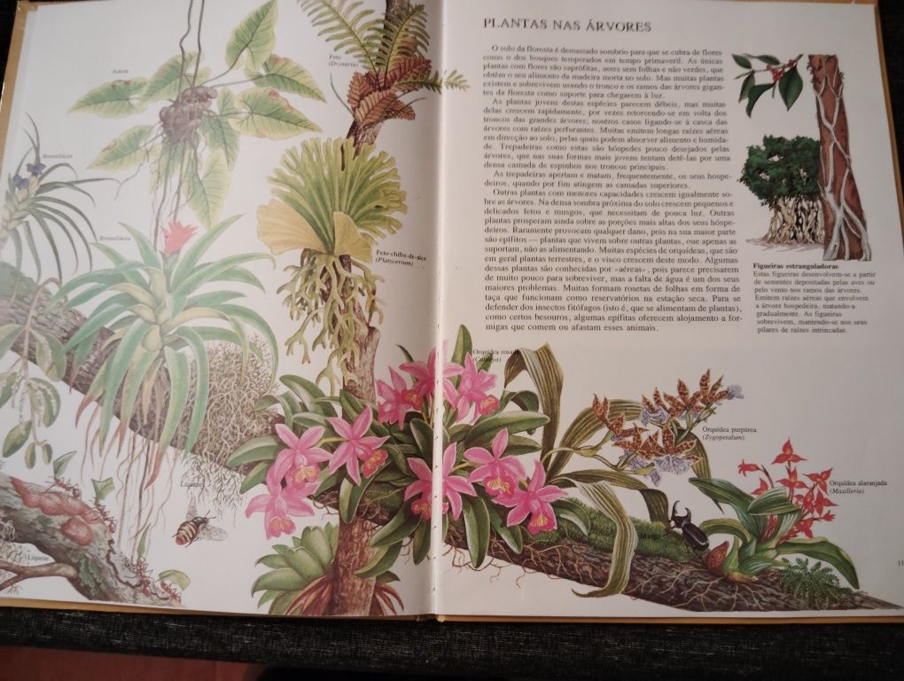 Livros Infantis Usados