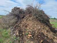 Odpady biomasa kompost gałęzie zrąbki kora