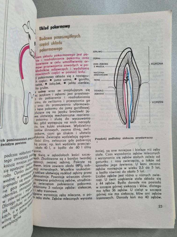 Nowoczesny chów zwierząt - Książka