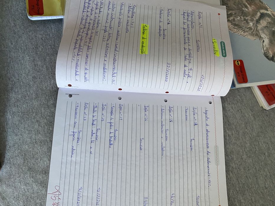 Caderno do aluno - 5o Ano - Novo