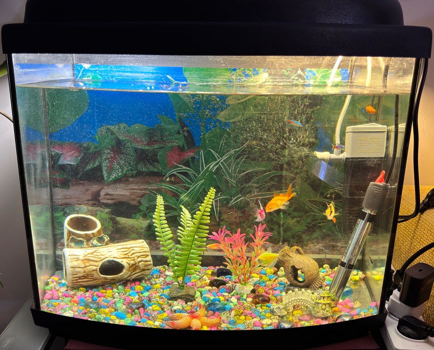 Аквариум с рыбками