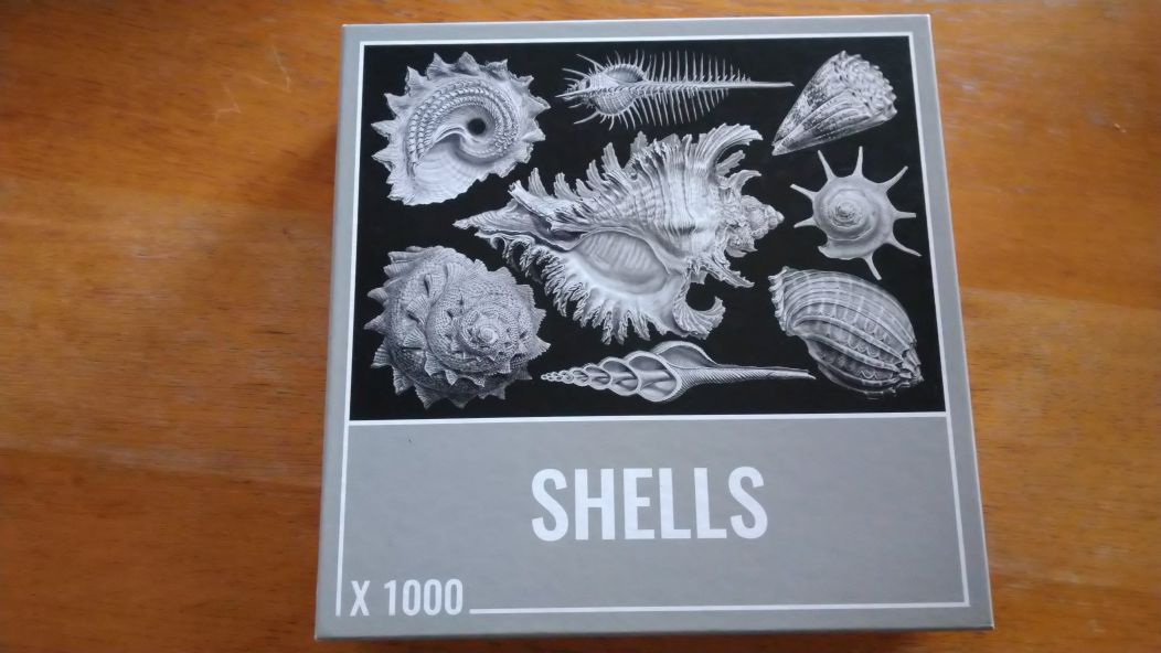 Puzzle Cloudberries Shells 1000