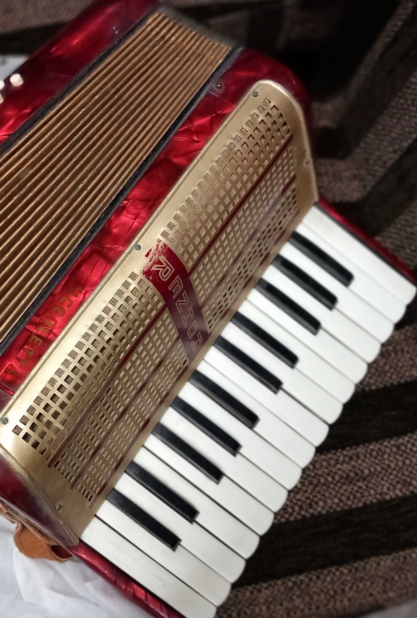 Acordeão hohner picolletta