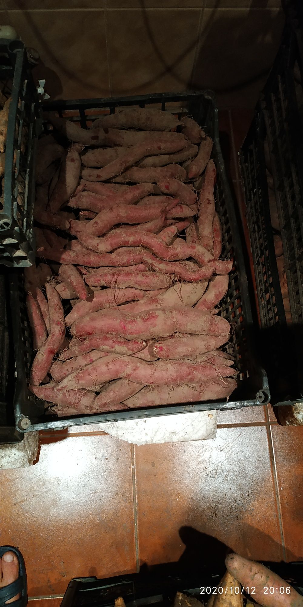 Батат, сладкий картофель.
