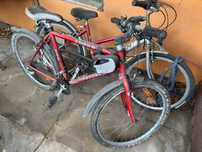 rower damka damski