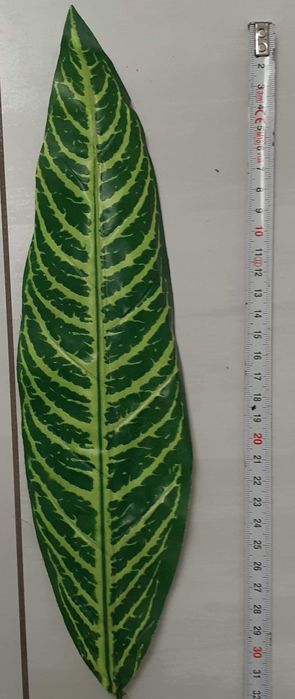 2 szt Liść sztuczny wąski