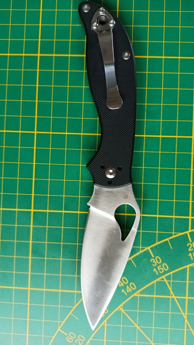 Spyderco Byrd Raven, Folder CTS BD1N