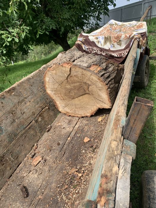 Дрова продаж