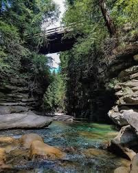 TAXI, ТАКСІ, Трансфер, пасажирські перевезення, Заросляк Говерла