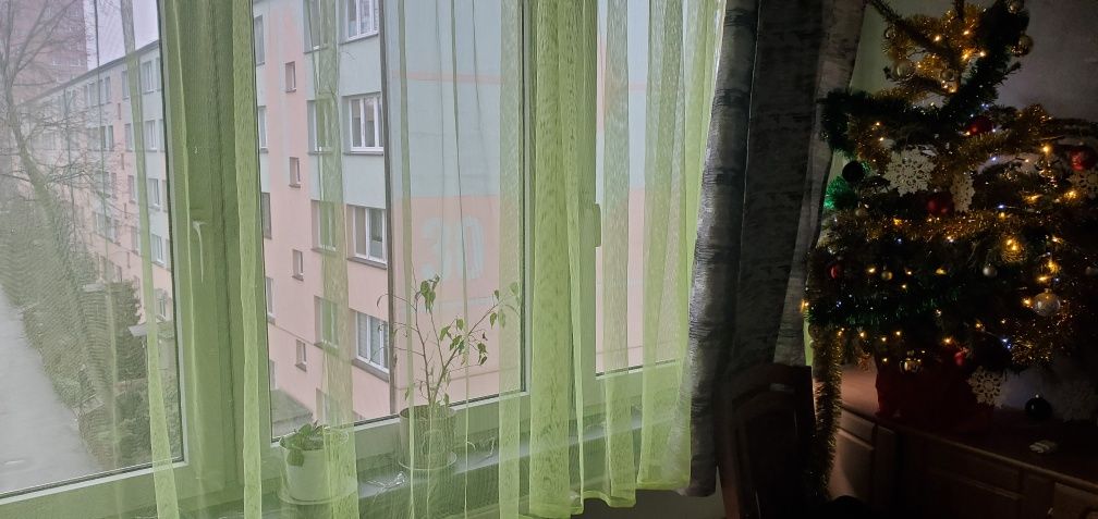 Firanka żółto-zielona 2,4 m szerokości