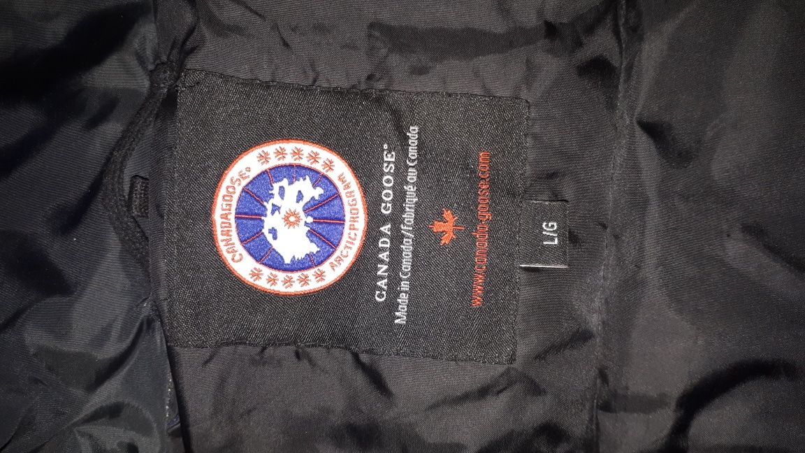 Bezrękawnik canada goose  l