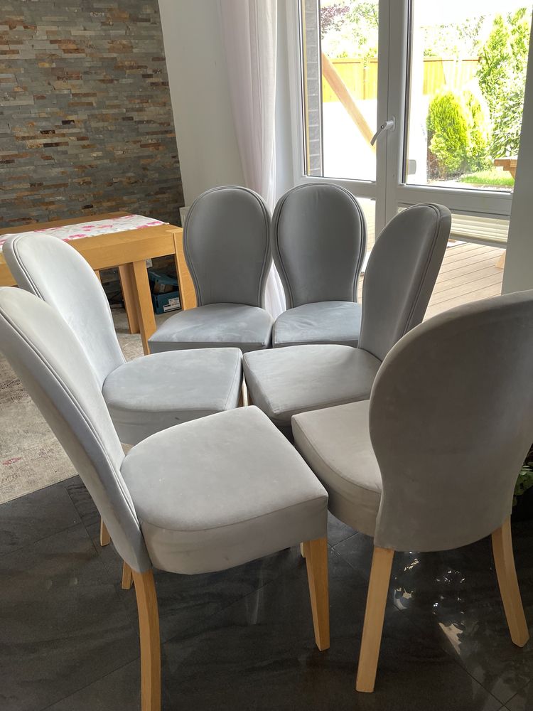 6 krzeseł tapicerowanych szary welur