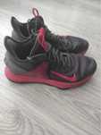 Продаються кросівки для баскетболу Lebron Witness