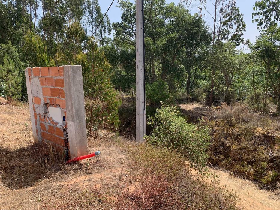 Terreno misto com 11460m2 e casa para recuperar - Salir de Matos