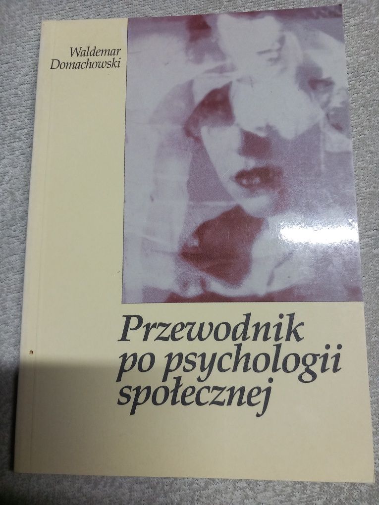 Przewodnik po psychologii społecznej - Domachowski