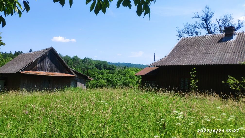 будинок у Карпатах , 40хв. пішки від Верхнього Синєвидного, с.Побук