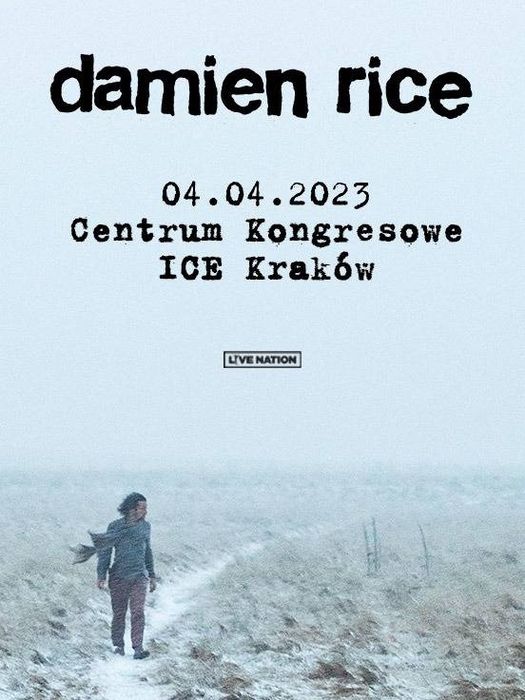 Damien Rice ICE Kraków 1 Bilet na koncert
