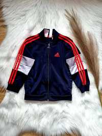 Bluza 98 Adidas dla chłopca