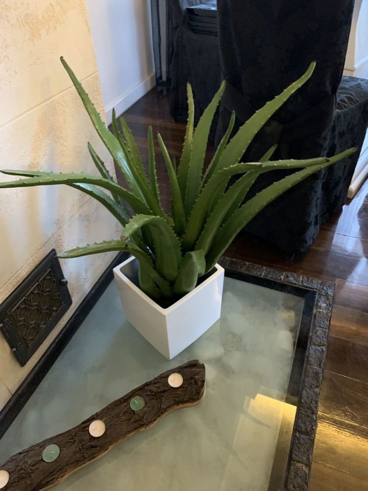 Aloes sztuczny Almi Decor 2 szt