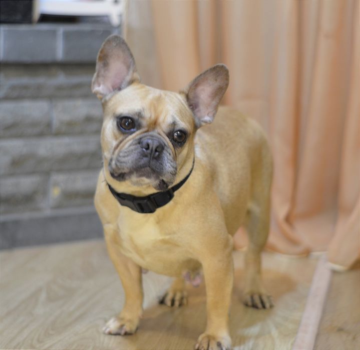 Найдобріша дівчинка