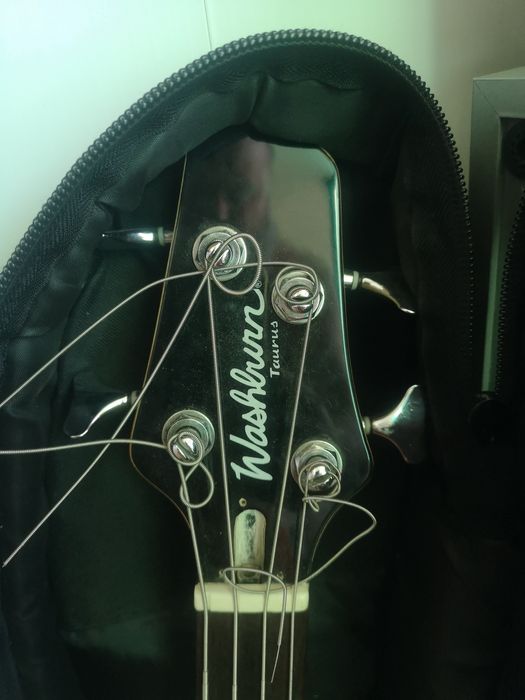 Washburn Taurus T14