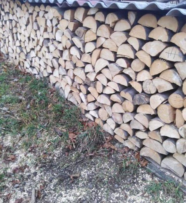 Drewno drzewo opałowe kominkowe