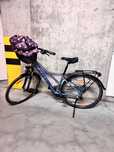 Rower damski Kellys Cristy 10