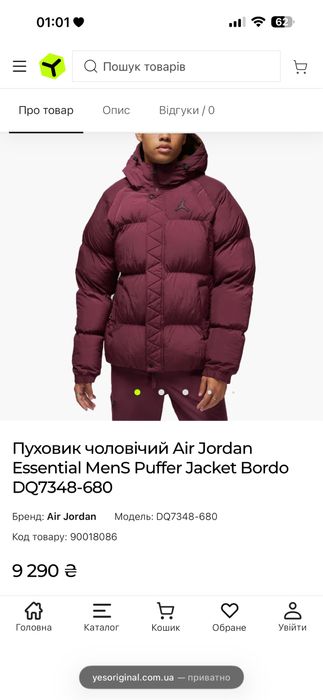 Чоловіча зимова куртка Jordan