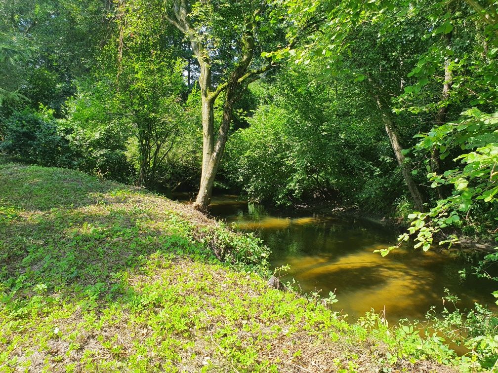 Dom z poddaszem i dużą działką 6562m2 nad rzeką Wel plus staw 250m2