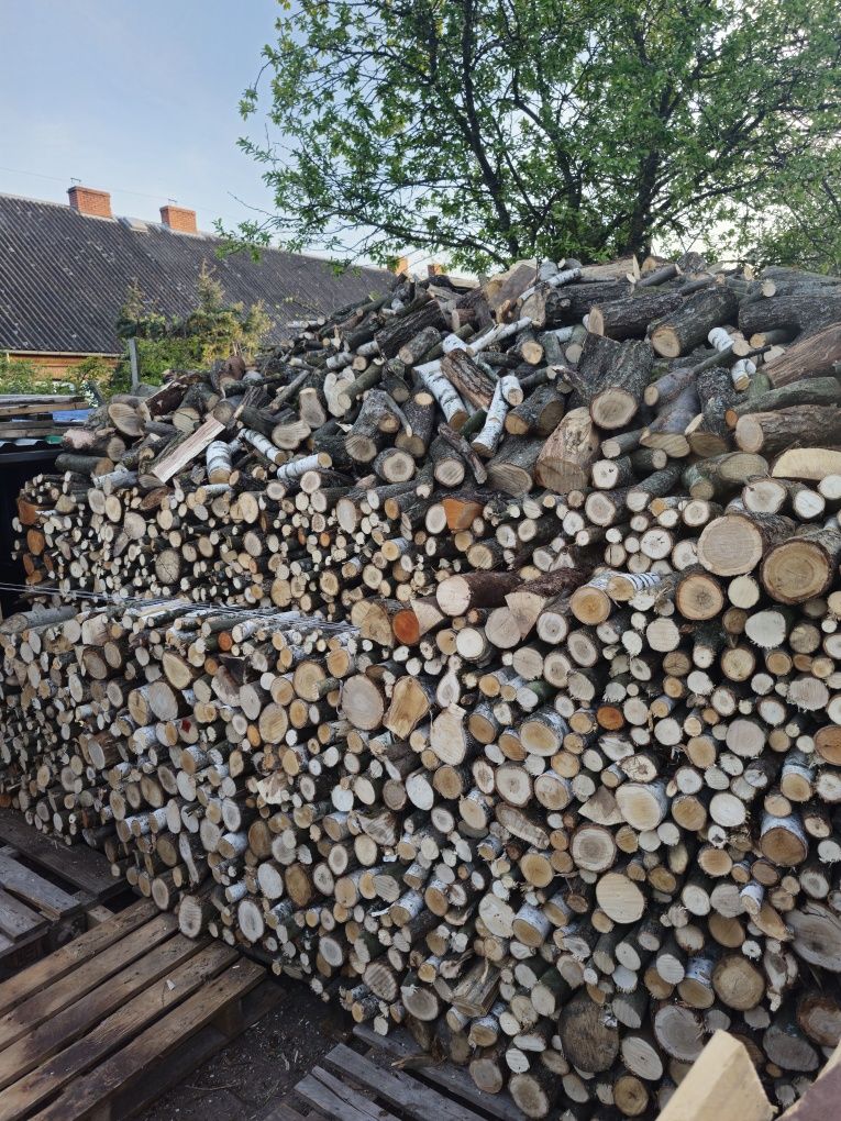 Drzewo liściaste .Opał.
